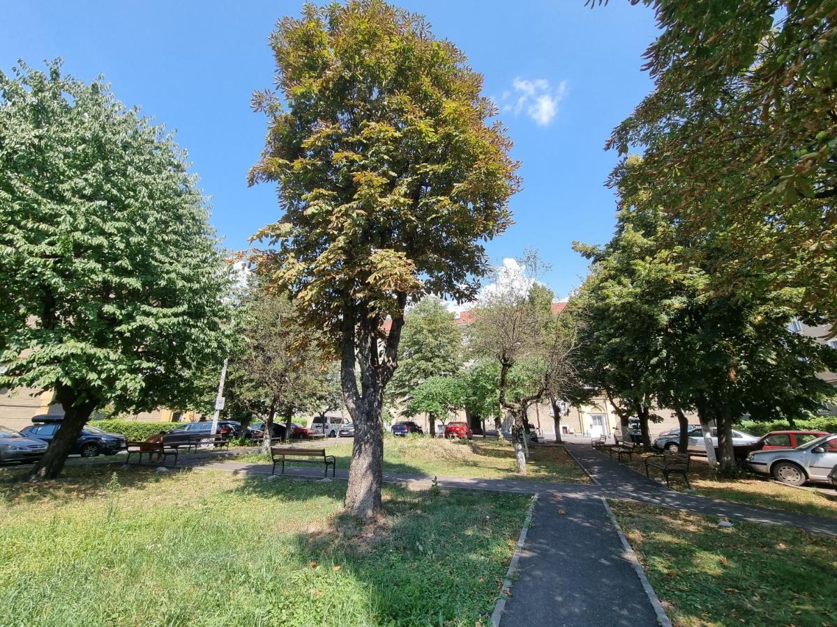 Ultra-Central 1 Bed Apartment, Str Nicolae Iorga Бая Маре Екстериор снимка
